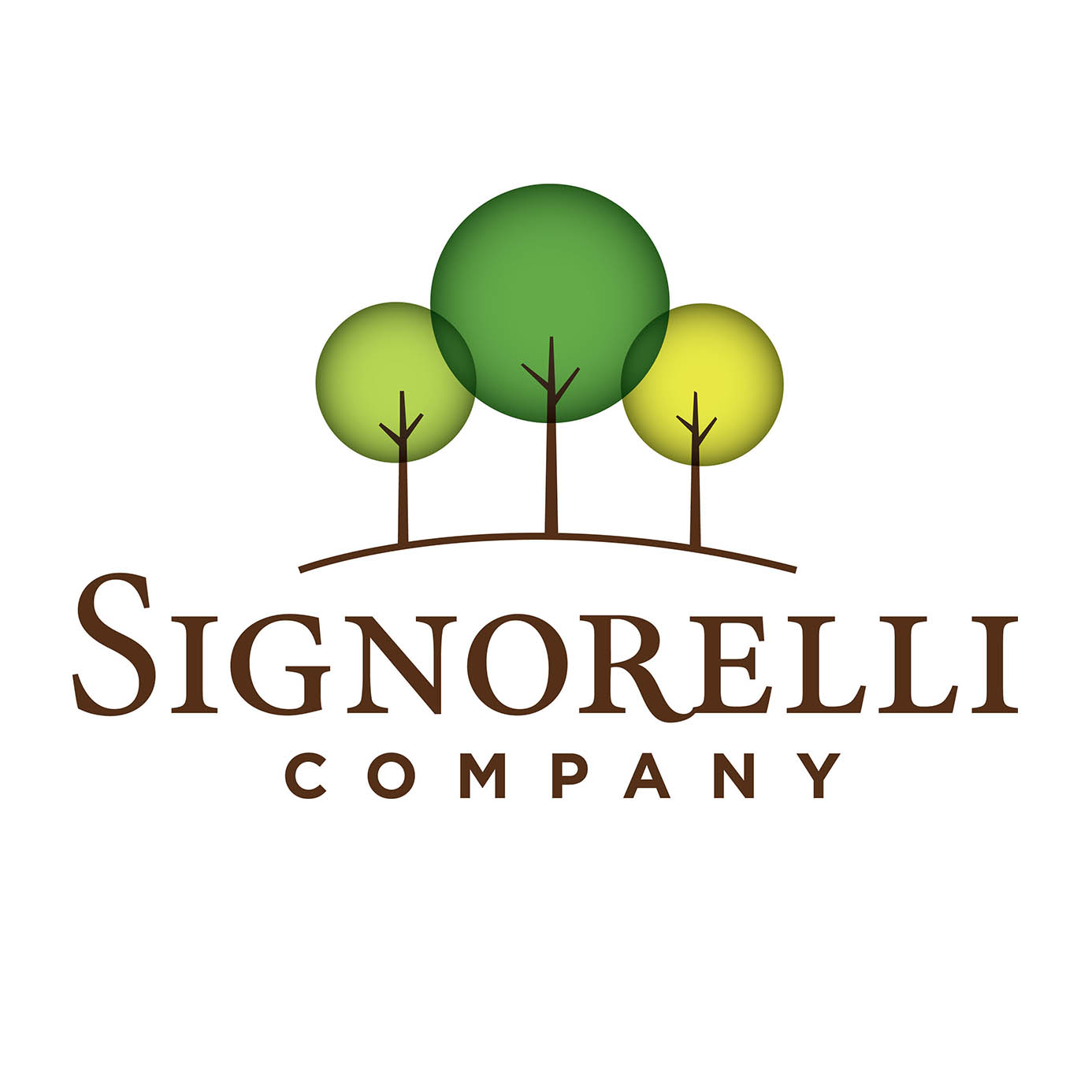 Signorelli